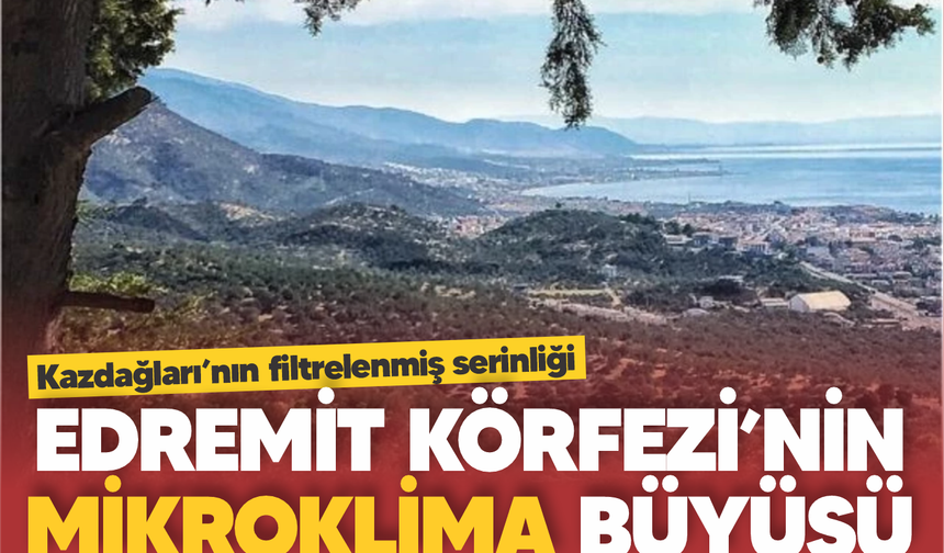 Edremit Körfezi'nin mikroklima büyüsü