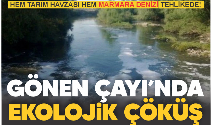 CHP’li Serkan Sarı: “Gönen Çayı Can Çekişiyor, Bölge Zehirleniyor!”