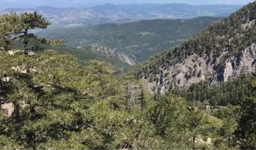 Kazdağları'nın tohum mirası