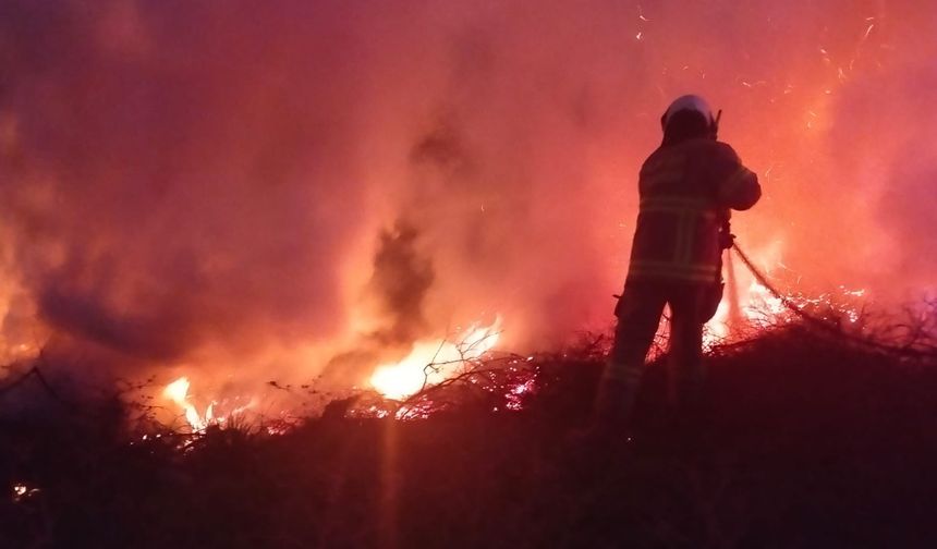 Savaştepe’de Korkutan Orman Yangını! Kurudere’de Alevlere Hızla Müdahale Edildi