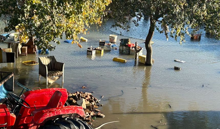 OSB dolgusu felaket getirdi! Akçay Sazlığında yıkım... Hayvanlar telef oldu!