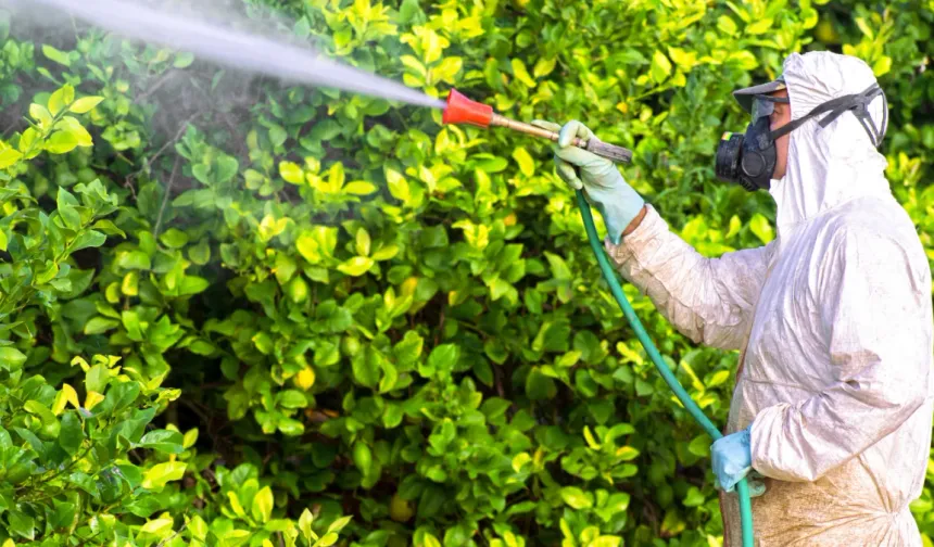 Tarladan sofraya takip: B-Reçete ile pestisite sıkı kontrol