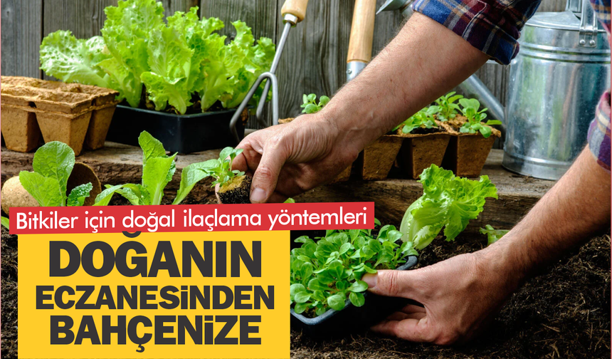 Doğanın eczanesinden bahçenize