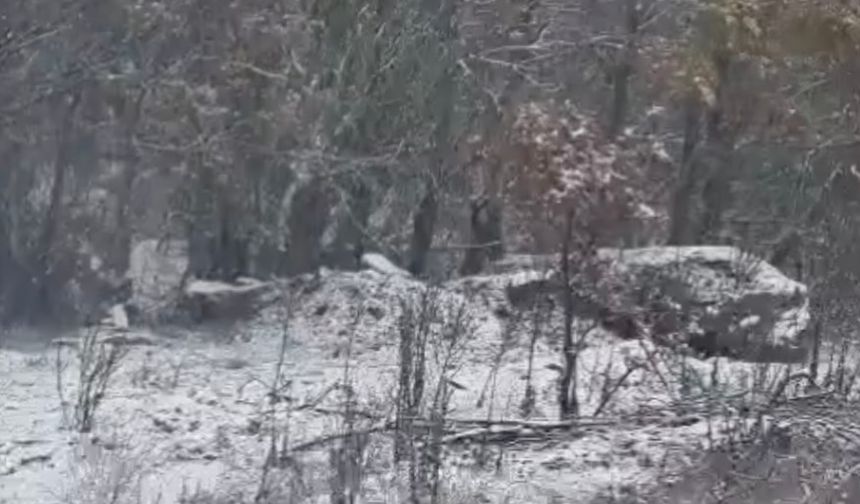 Balıkesir Beyaza Büründü! Yılın İlk Karı Düştü! Balıkesir Susurluk'ta Kar Yağışı Etkili Olmaya Başladı!