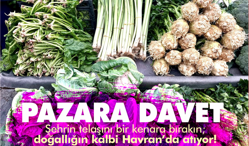 Şehrin telaşını bir kenara bırakın; doğallığın kalbi Havran’da atıyor!