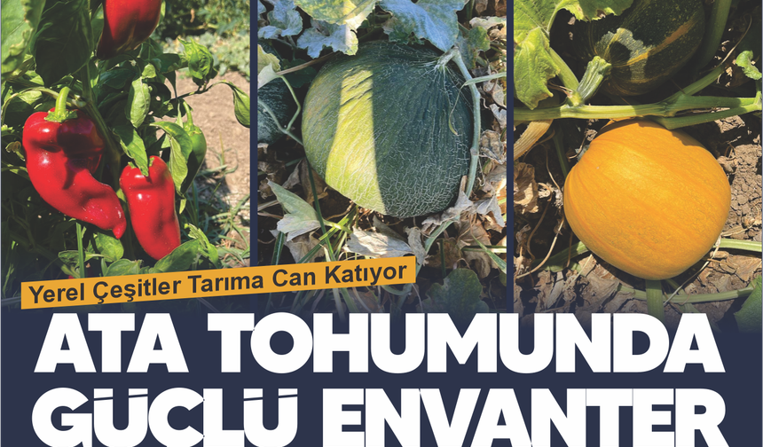 BAÇEM'in ata tohumu envanteri güçleniyor