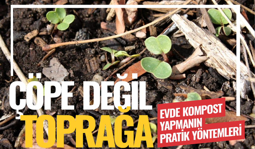 Çöpe değil toprağa... Ev atıklarından besleyici kompostun gücü