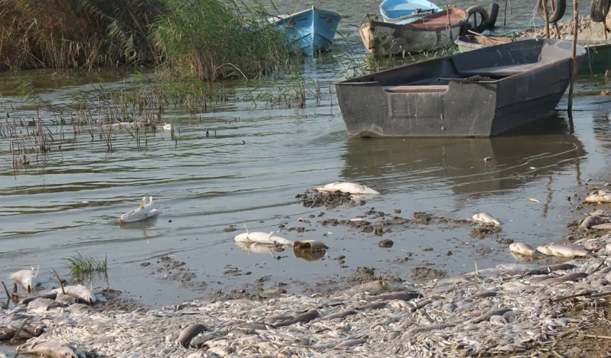 Güney Marmara’nın Bitmeyen Felaketi: Gönen Çayı’nda Zehir Akıyor