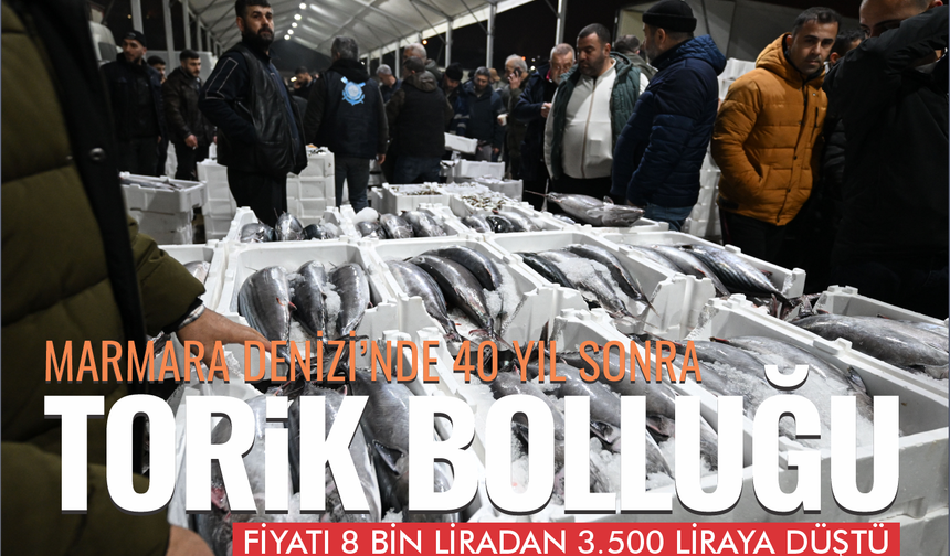 Marmara Denizi’nde 40 Yıl Sonra Torik Akını: 500 Tonu Aştı