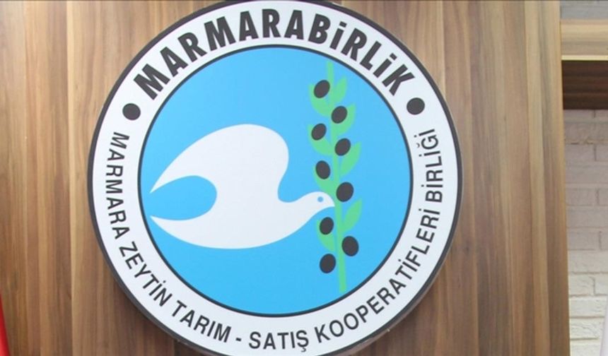 Marmarabirlik Ortaklarına 860 Milyon Lira Ödeme Yapacak