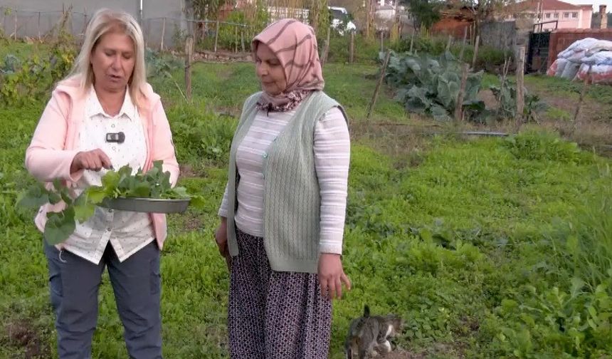 Havran, Ülke TV’de “Topraktan Sofraya” Programında Tanıtılacak