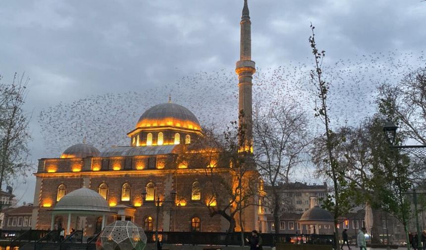Bugün Kandil mi? (23 Ağustos 2026) Diyanet Dini Günler Takvimi İle Mevlid Kandili Tarihi Belli Oldu!
