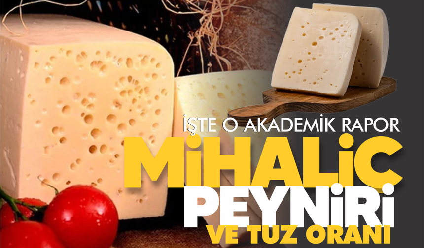Mihaliç peyniri... Tuz oranı... İşte o akademik rapor!
