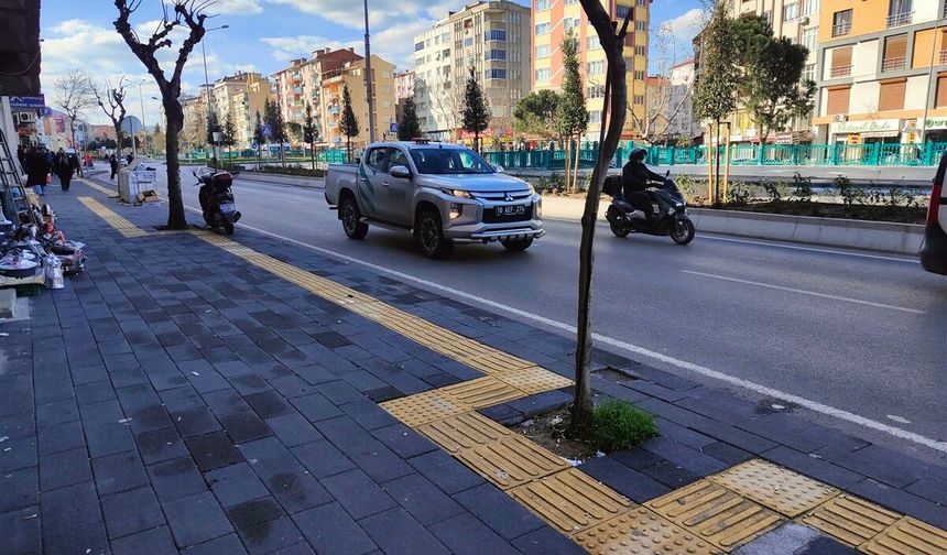 Görme engelliye destek mi? Köstek mi?