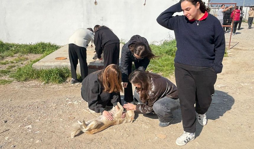 Edremit’te Patili Dostlara Minik Ellerden Destek: Öğrenciler Barınakta Sevgi Dağıttı!