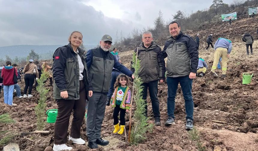 Kepsut’ta küllerinden doğan orman! Yangından etkilenen alanlar yeşeriyor