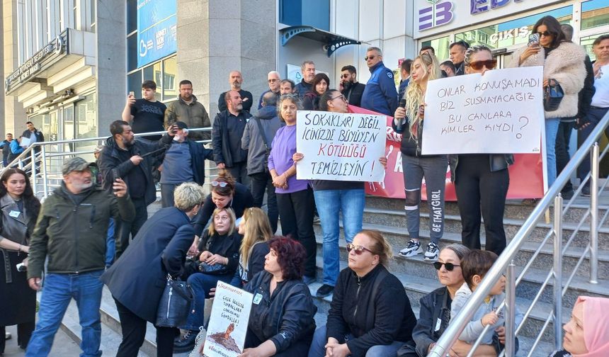 Edremit'teki hayvan katliamlarına protesto! Köpekler, kediler, şimdi de at kafaları!