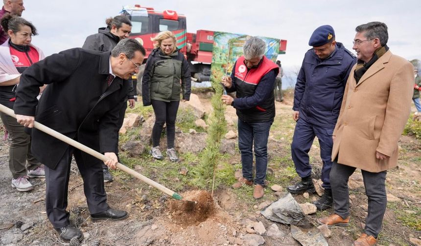 Burhaniye'de fidanlar toprakla buluştu! Pelitköy'de "Geleceğe Nefes" seferberliği