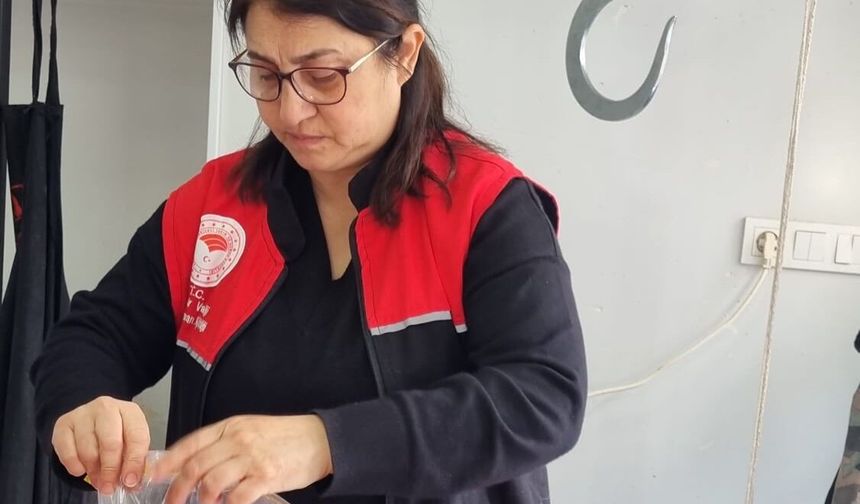 Gömeç’te Et ve Kasaplara Sıkı Denetim: 'Tür Tayini' İçin Düğmeye Basıldı!