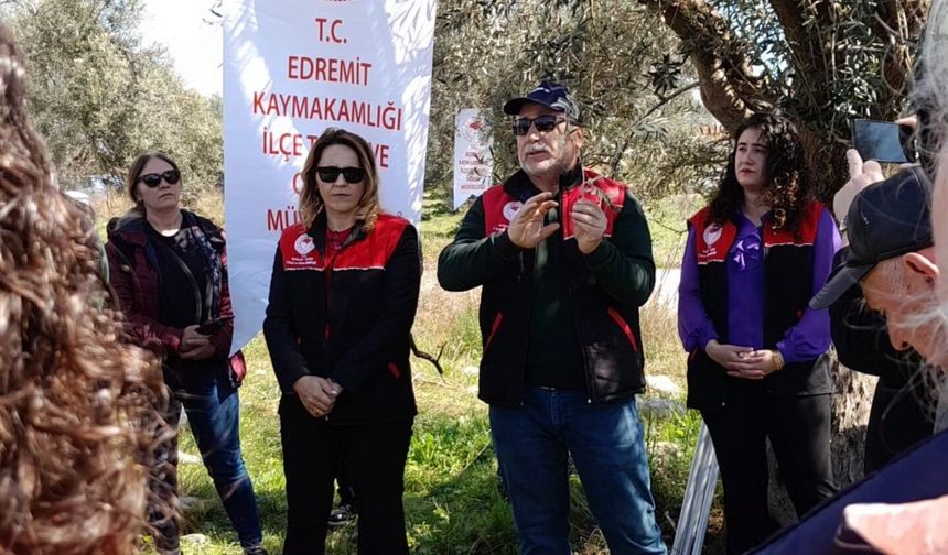 Edremitli Zeytinciler Sahada! İlçe Tarım Müdürlüğü'nden Kritik Eğitim