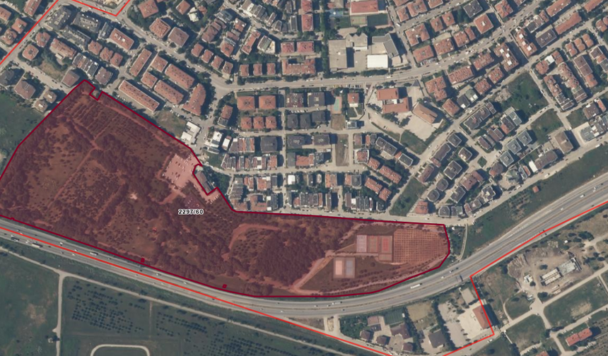 Bandırma’nın Nefesi General Balcı Çamlığı Özelleştirme Tartışmasının Gölgesinde