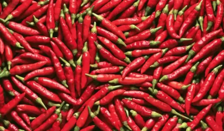 ACI SEVENLER DİKKAT! SOFRADAKİ O TAT SANDIĞINIZ KADAR MASUM DEĞİL...