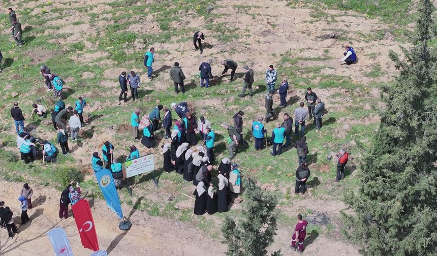 Balıkesir'de Yeşil Seferberlik! Susurluk'ta Binlerce Fidan Toprakla Buluştu!
