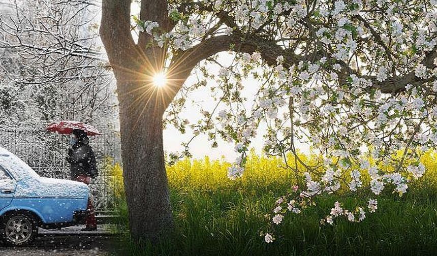 POLEN MEVSİMİ BAŞLADI.. ALERJİSİ OLANLAR DİKKAT!