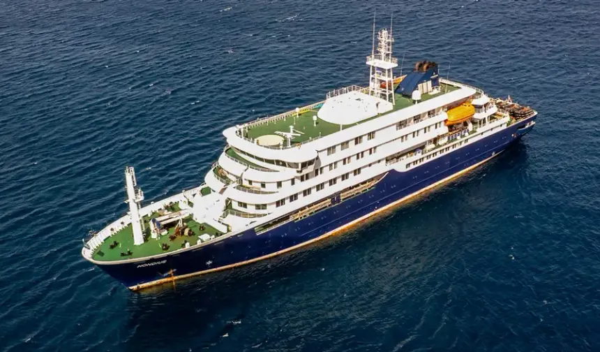MV Hondius Yolcu Gemisinde Hantavirüs Krizi: Hantavirüs Nedir, Nasıl Bulaşır?
