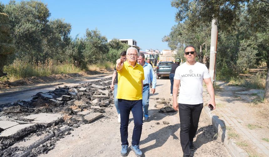 Burhaniye Pelitköy sahil yolunda asfalt mesaisi