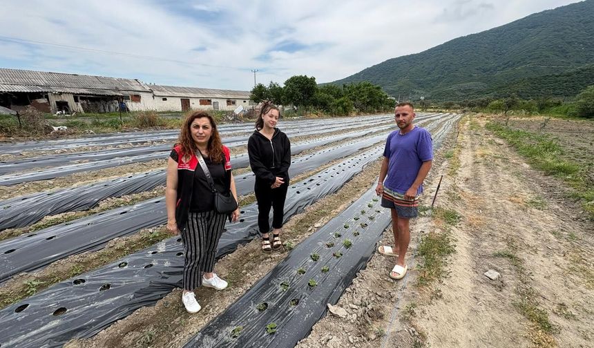 Erdekli Çiftçinin Yeni Kazanç Kapısı: Çilek Üretim Projesi Başladı