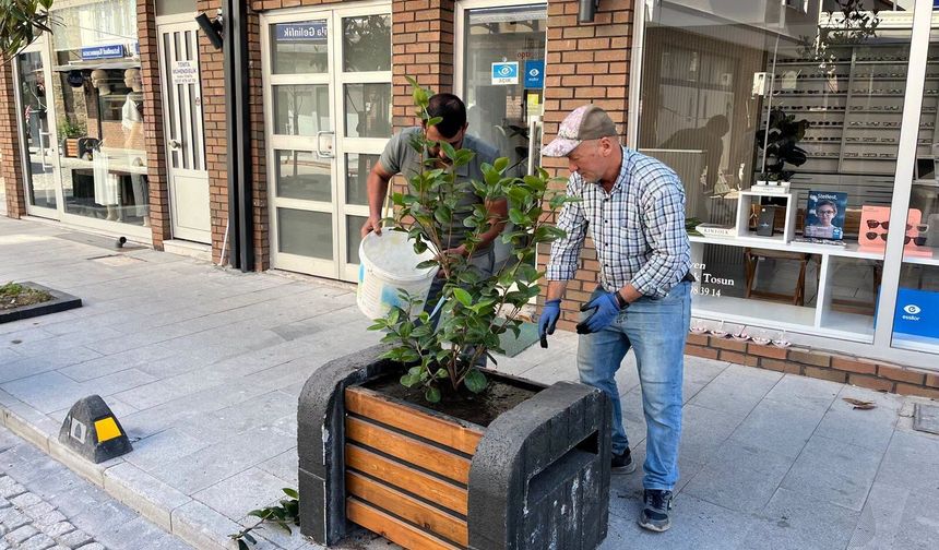 Bigadiç’in Çehresi Değişiyor: Hitay Caddesi Yeşilleniyor!