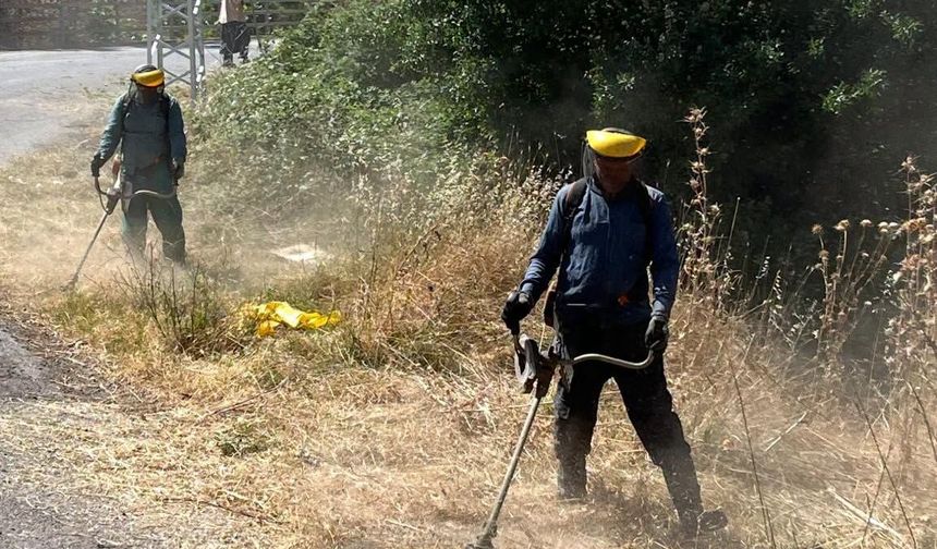 Bigadiç Belediyesi'nden "Temiz Çevre, Sağlıklı Yaşam" Vurgusu: Çalışmalar Sürüyor