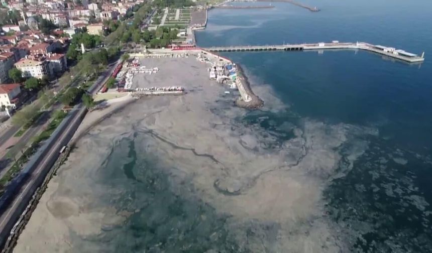 8 Haziran Marmara Denizi Günü: Marmara için zaman daralıyor