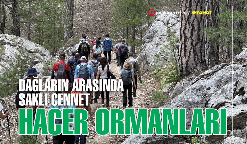 Dağların Arasında Saklı Cennet: Hacer Ormanları