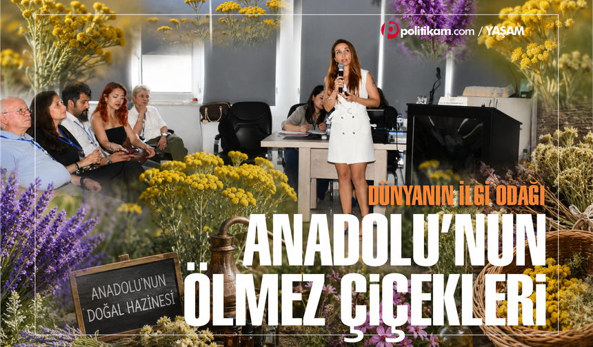 Anadolu’nun Ölmez Çiçekleri Kozmetik Dünyasının Yeni Hazinesi Oluyor