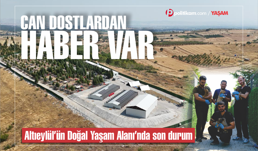 Altıeylül'ün Bakımevi ve Doğal Yaşam Alanı'nda son durum