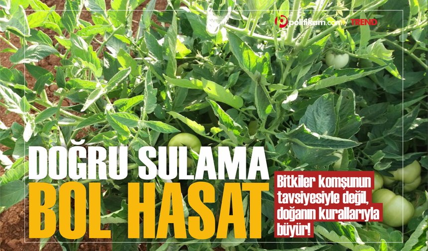 Bitkiler komşunun tavsiyesiyle değil, doğanın kurallarıyla büyür