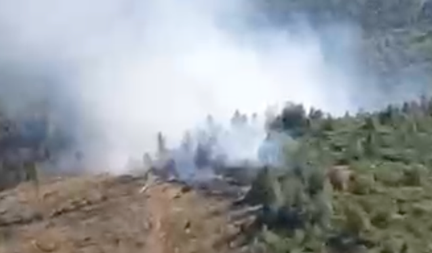 Balıkesir Savaştepe’de Orman Yangını! Ekipler Havadan ve Karadan Müdahale Ediyor