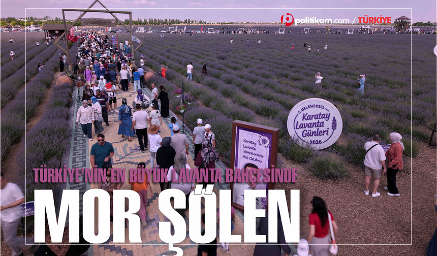 Türkiye'nin En Büyük Lavanta Bahçesinde Mor Şölen Başladı
