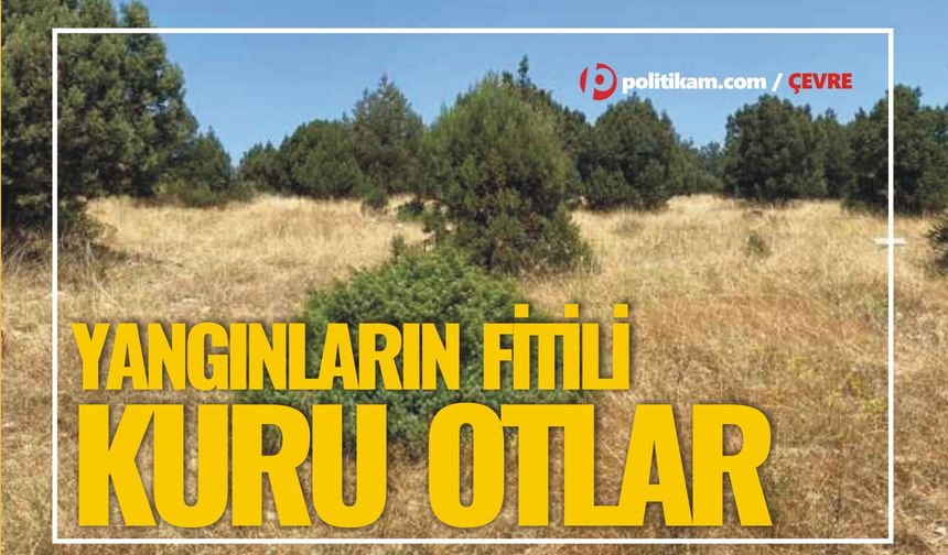 Yangının fitili kuru otlar!