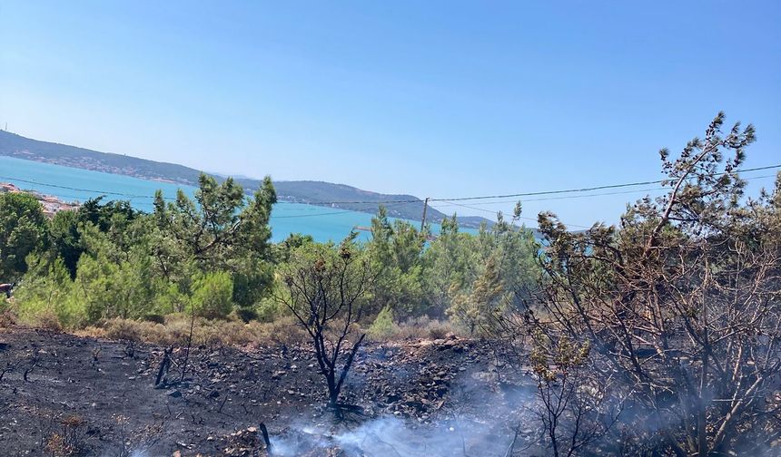 Cunda Adası'nda Korkutan Orman Yangını: Ekipler Zamanla Yarıştı, Alevler Söndürüldü!