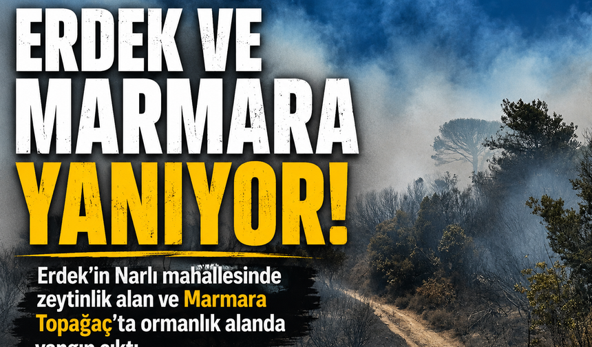 Erdek ve Marmara Adası'nda Yangın Alarmı! Müdahale Havadan ve Karadan Sürüyor