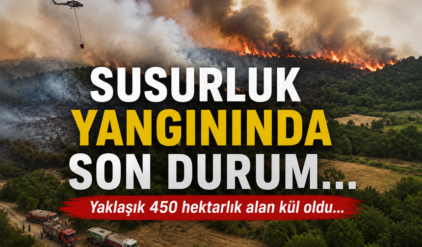 Susurluk'taki Orman Yangınında 450 Hektarlık Alan Etkilendi