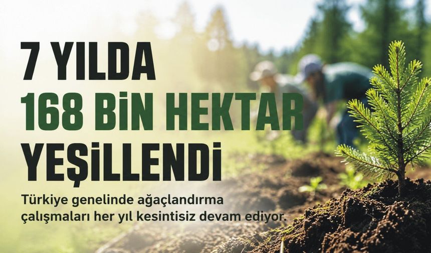 Türkiye'de 7 Yılda 168 Bin Hektardan Fazla Alan Ağaçlandırıldı