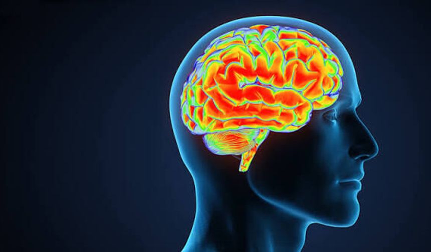 Bandırma Onyedi Eylül Üniversitesi'nden Devrim Niteliğinde Buluş! Alzheimer’ın Erken Tanısı İçin Yerli Biyosensör!