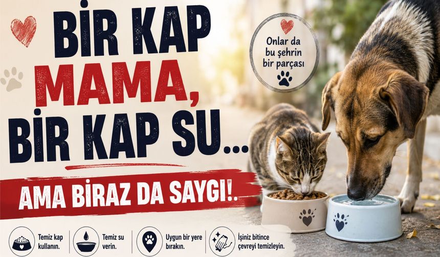 Bir kap mama, bir kap su, ama biraz da saygı!