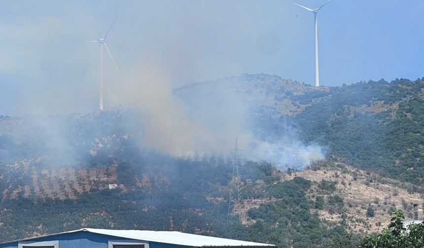 Balıkesir Erdek’te Orman Yangını: Alevlere Havadan Ve Karadan Müdahale Başlatıldı!