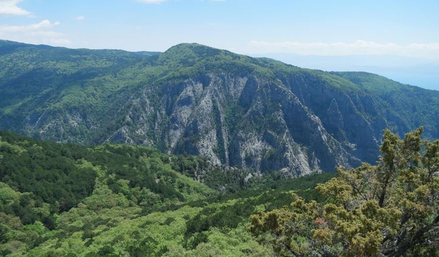Kazdağları ve Edremit'e Gidecekler Dikkat! Mangal Yakmak Yasaklandı mı? İşte Serbest Olan Alanlar!