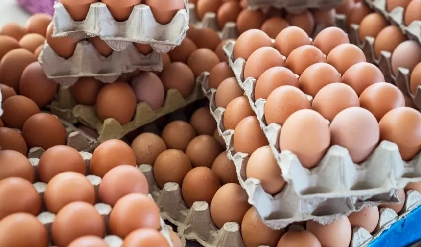 Türkiye'nin Yumurta İhracatında Büyük Sıçrama! 9 Ayda 418 Milyon Doları Aştı